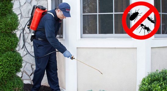 Arnavutköy Böcek ve Haşere İlaçlama böcek ilaçlama ve haşere kontrolü — ilaclama-tr.com